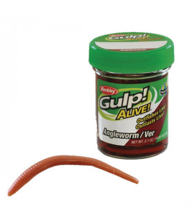 Przynęta Berkley Gulp! Alive Angle Worm (brown)