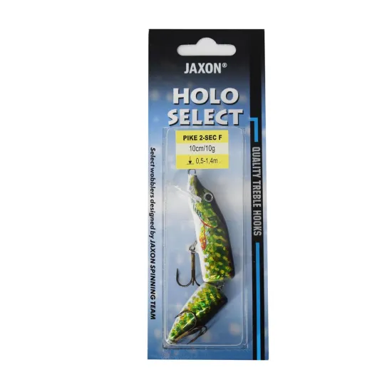 Wobler Pike 2-Sec F Jaxon 10cm / 10g P