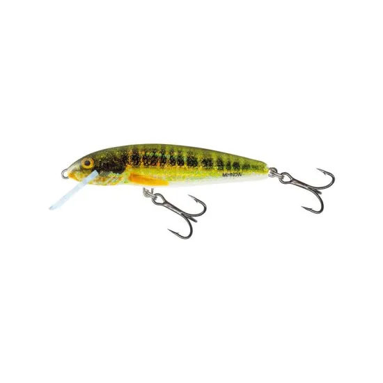 Wobler Minnow M7FHRM Salmo 7cm / 6g