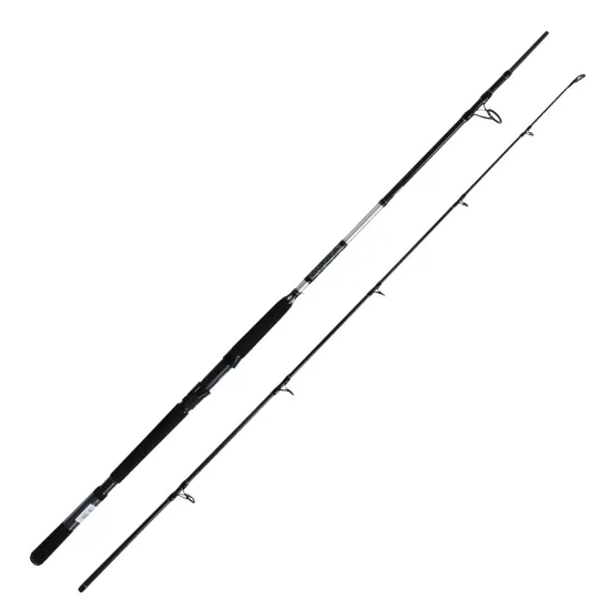 Wędka morska Daiwa BG Offshore Boat 2.40m 150-400g