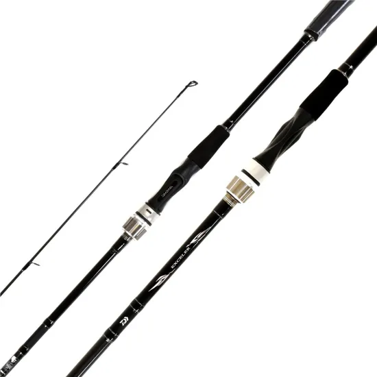 Wędka spinningowa Daiwa Exceler Spin 2.70m 10-40g-112400