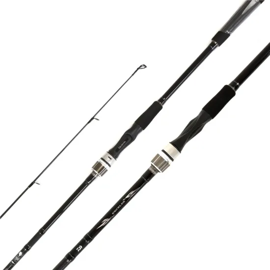 Wędka spinningowa Daiwa Exceler Spin 2.70m 20-60g-112403