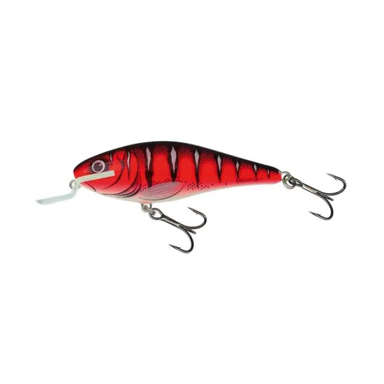 Wobler Salmo Executor EX12SR RW 12cm 33g