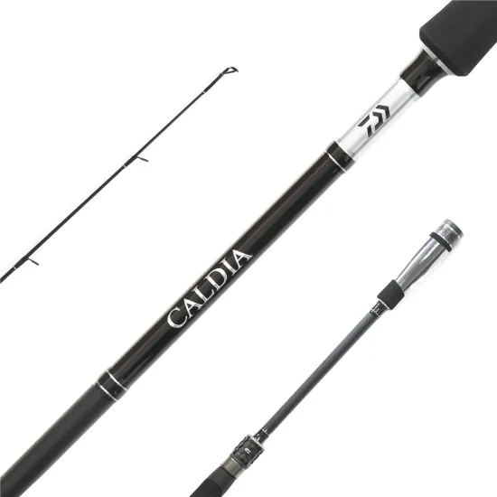 Wędka spinningowa Daiwa Caldia Extra Fast Spin 2.25m 20-60g-123141