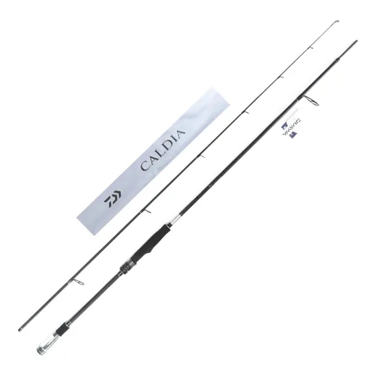 Wędka spinningowa Daiwa Caldia Extra Fast Spin 2.25m 20-60g-123142