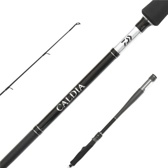 Wędka spinningowa Daiwa Caldia Sensor Jig 2.70m 14-42g-123165