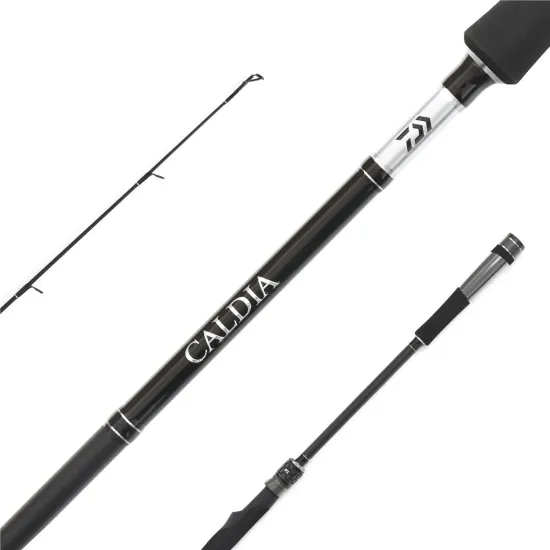 Wędka spinningowa Daiwa Caldia Spin 2.40m 30-70g-123177