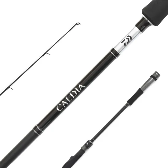 Wędka spinningowa Daiwa Caldia Spin 2.70m 30-70g-123183