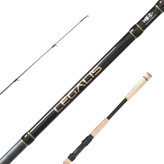 Wędka spinningowa Daiwa Legalis Spin 2.40m 10-30g-123375