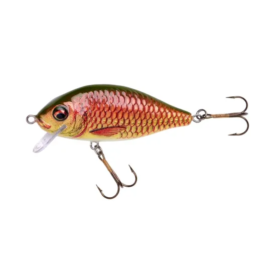 Wobler pływający Holo Select Karaś Nature 3D Jaxon 8cm / 14g PG