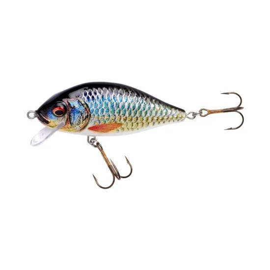Wobler pływający Holo Select Karaś Nature 3D Jaxon 9cm / 17g PB