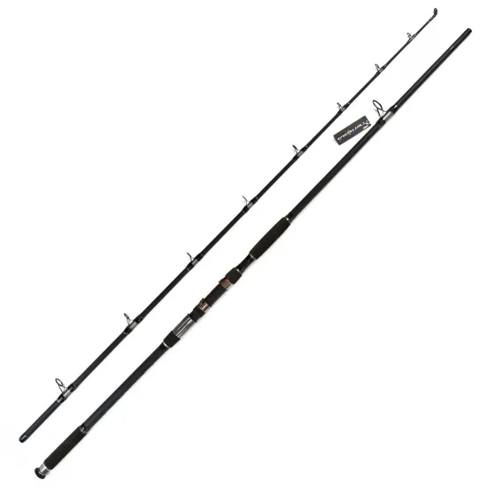 Wędka sumowa Jaxon Tenesa Catfish 3.00m -550g