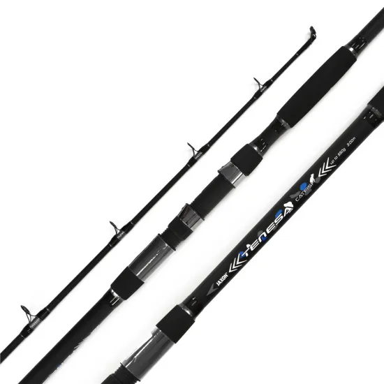 Wędka sumowa Jaxon Tenesa Catfish 3.00m -550g-84352