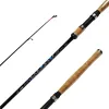 Wędka spinningowa Jaxon Tenesa Spinning TX 2.10m 10-30g-96113